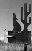 Wolf&Mailbox.jpg