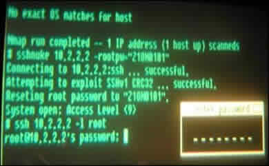 nmap.jpg